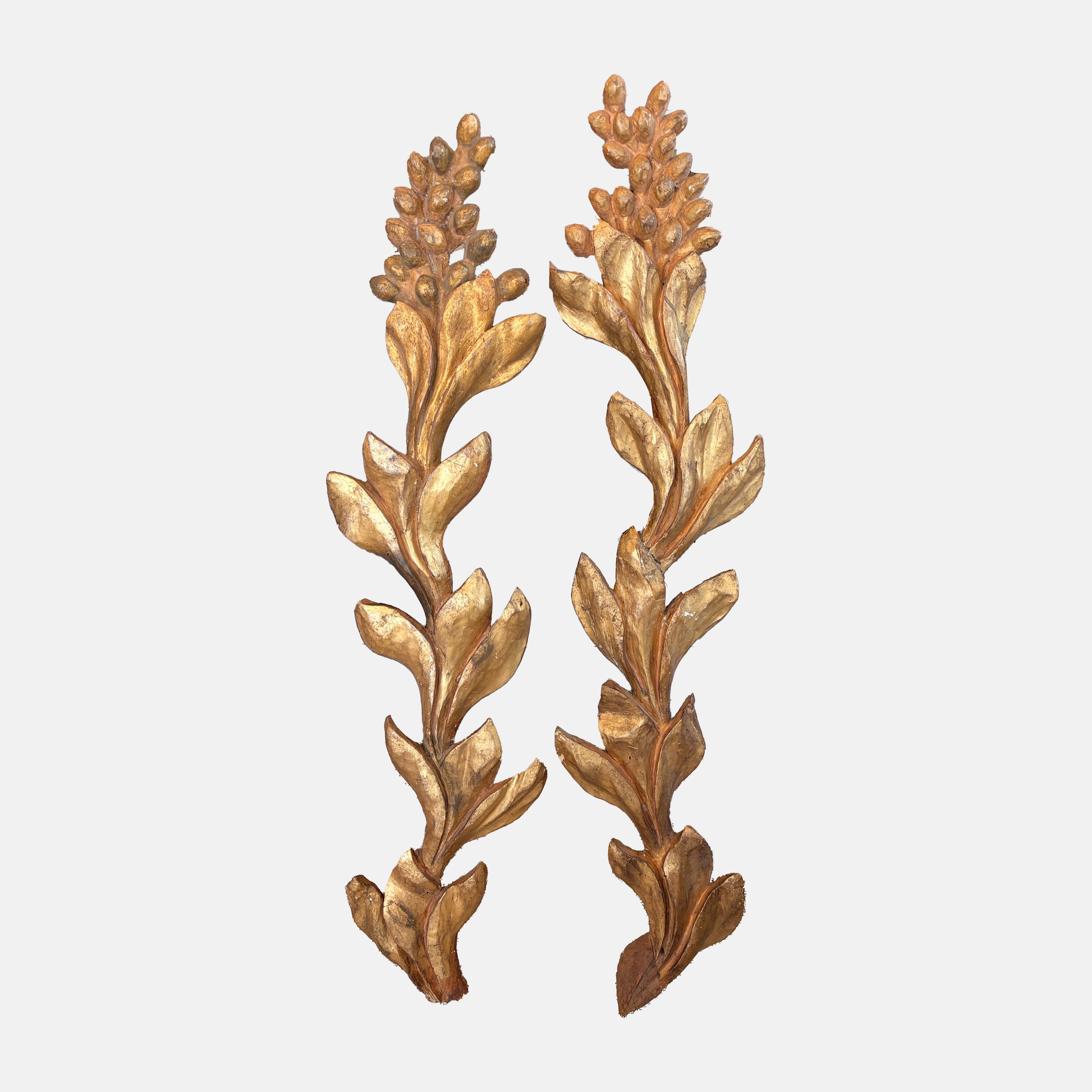 Pair of Italian Carved Giltwood Appliques