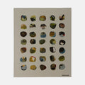 Kim Meadowlark Painting "DRIFTING"