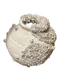 Large Sea Salvage Pot
