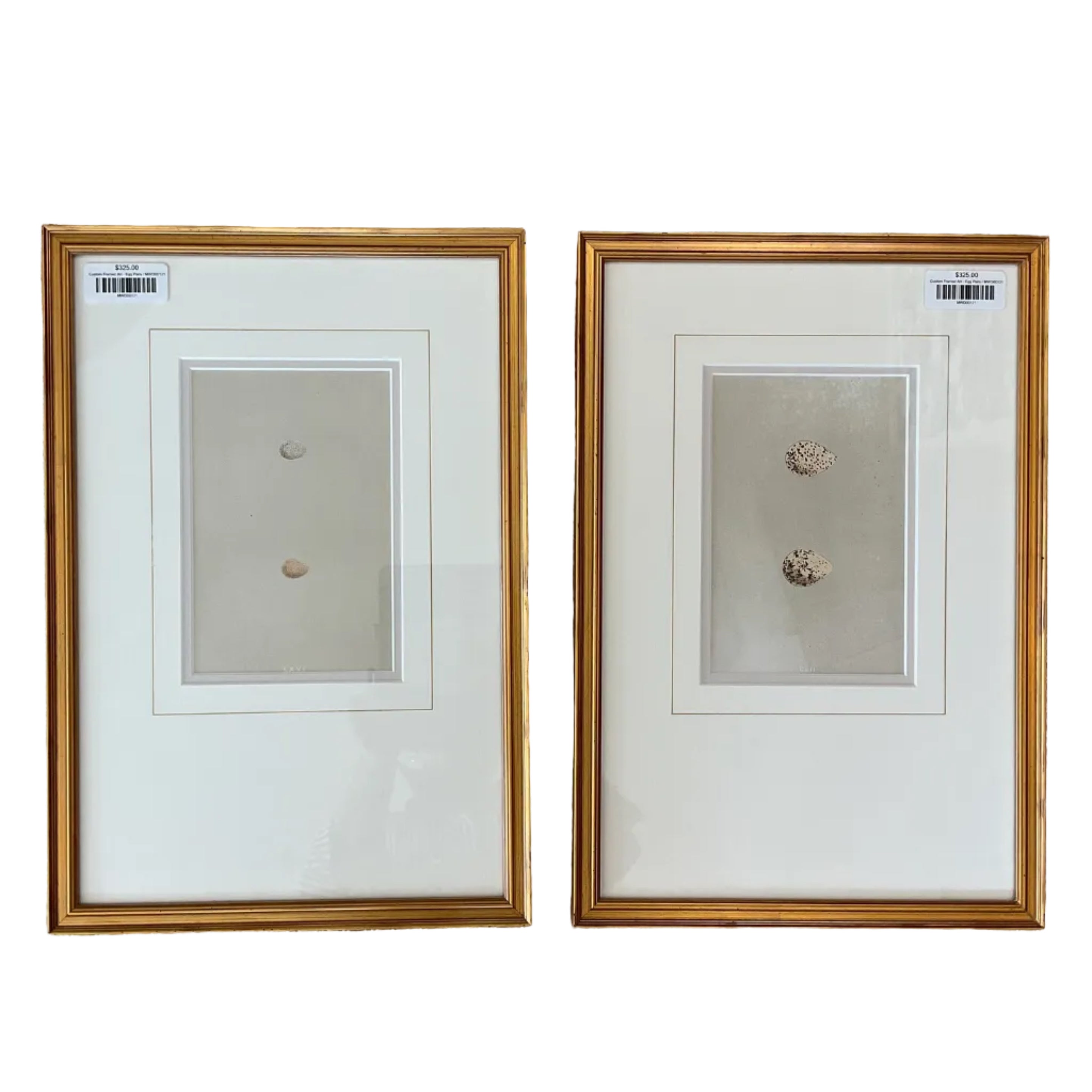 Custom Framed Art - Egg Pairs