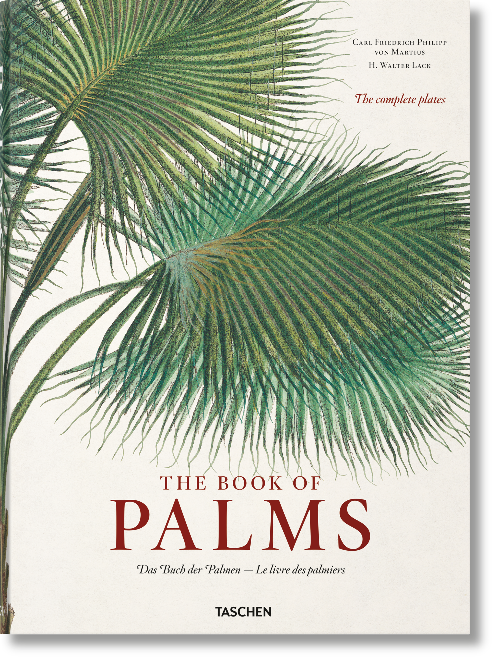 The Book of Palms