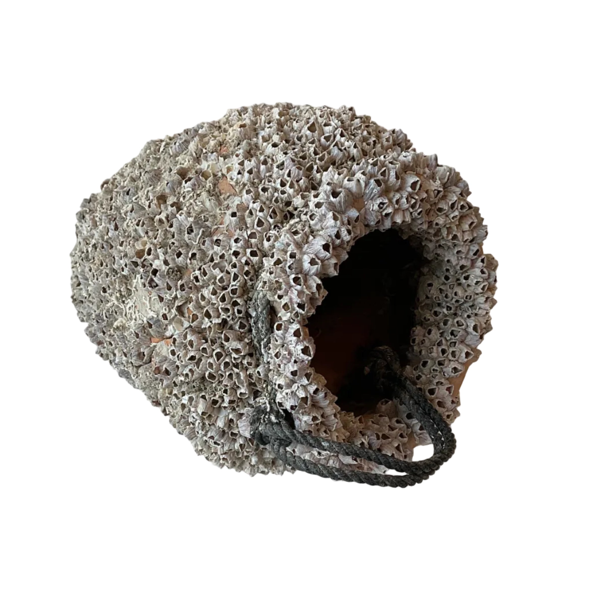Octopus Pot