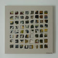 Kim Meadowlark Painting "DIFFERENT PACE" 24X24"