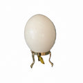 Ostrich Egg on Brass Stand