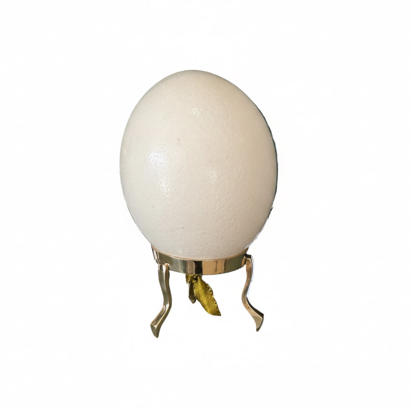 Ostrich Egg on Brass Stand