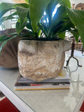 Concrete Mortar