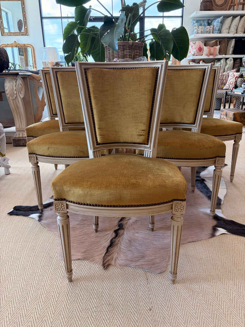 Set of 6 Accent Side Chairs