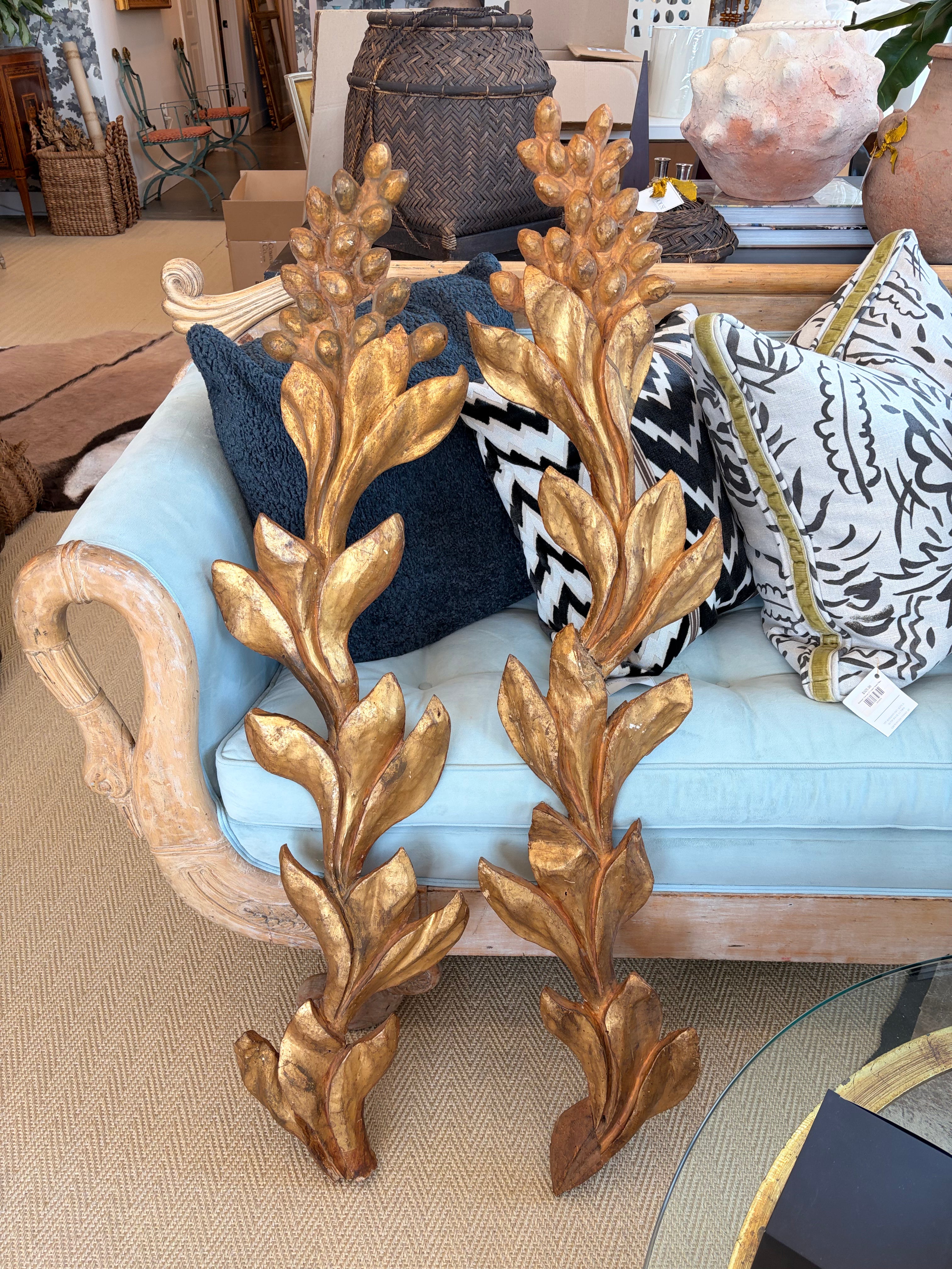 Pair of Italian Carved Giltwood Appliques