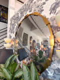 Large Convex Mirror
