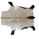 Full Hide Area Rug