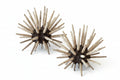 Sea Urchins